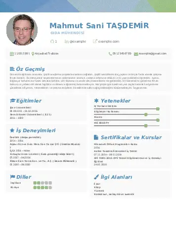 Gıda Mühendisi CV Örnekleri cv indir